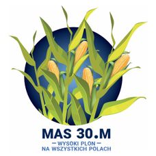 Kukurydza Mas 30.M F1 C1 50 Tyś Maisadour