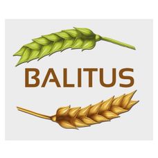 Pszenica zwyczajna ozima Balitus C1 BB 1000 Kg Saatabu