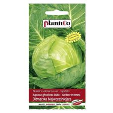 Kapusta Ditmarska 10g Plantico