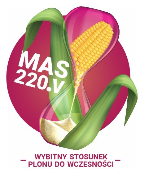 Kukurydza Mas 220.V F1 C1 50 Tyś Korit + Force Maisadour