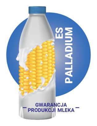 Kukurydza ES Palladium F1 C1 50 tyś Force Lidea