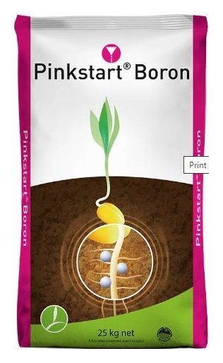 Pinkstart BorOn 25 kg Timac Agro