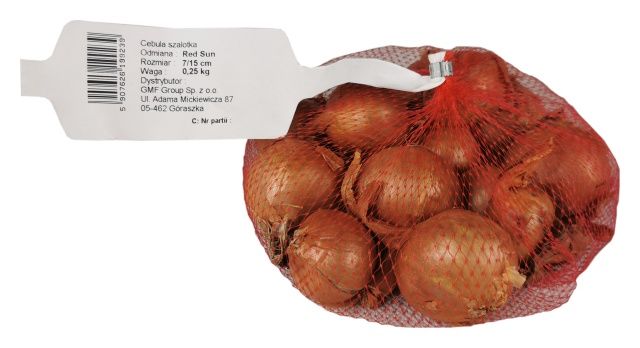 Cebula szalotka czerwona Red Sun