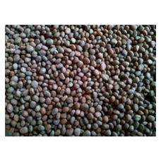 Rzodkiew oleista 25kg Flornas
