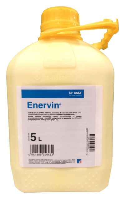 Enervin 5L Basf