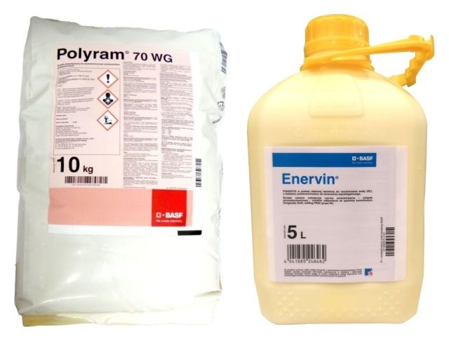 Zestaw Polyram 70WG 10Kg + Enervin 5L Basf