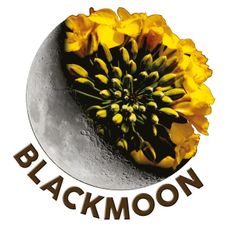 Rzepak ozimy RGT BLACKMOON F1 C1 Buteo Start + Integral Pro RAGT