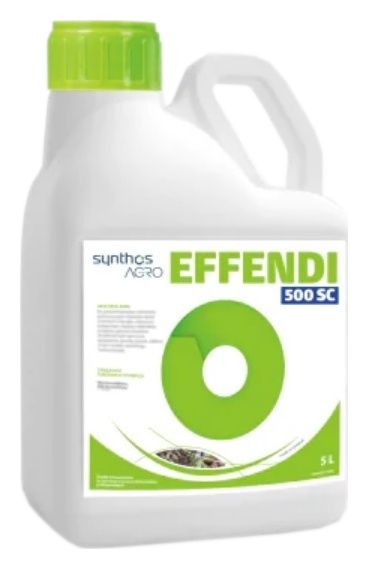 Effendi 5L Synthos