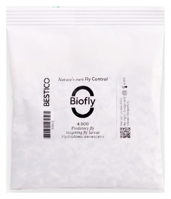 Biofly S 4500 Koppert