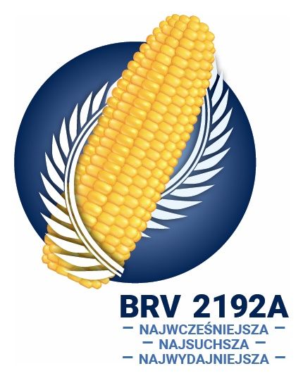 Kukurydza BRV2192A F1 C1 50 tyś Force Brevant