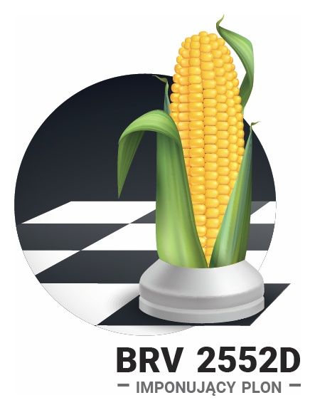 Kukurydza BRV2552D F1 C1 50 tyś Korit Brevant