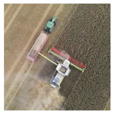 Żyto ozime KWS Gilmor F1 C1 1 mln KWS