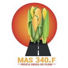Kukurydza Mas 340.F 50 tyś C1 Maisadour