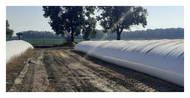 Rękaw foliowy rolniczy ErgBag 2,7 m x 60 m Erg Bieruń