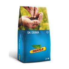 Rzepak ozimy DK Exima F1 C1 Buteo Start + Zinc Bayer