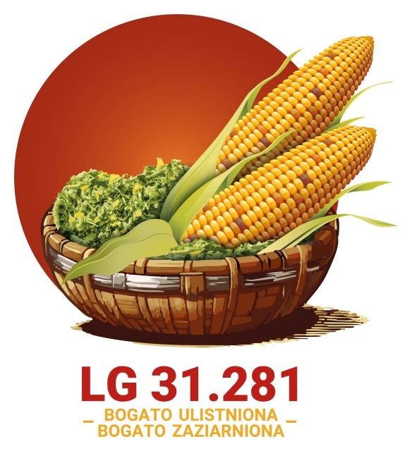 Kukurydza LG 31.281 F1 C1 50 tyś Limagrain