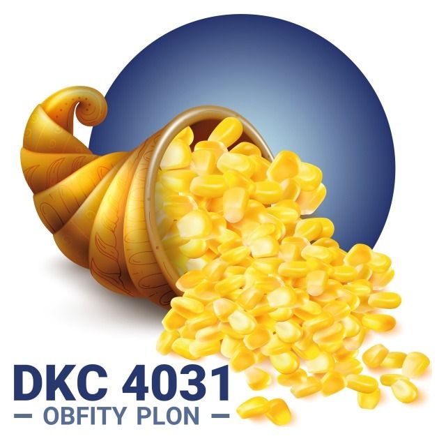 Kukurydza DKC 4031 F1 C1 50 tyś +B360 Bayer