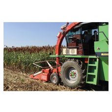 Sorgo RGT Amiggo C1 300 tyś RAGT