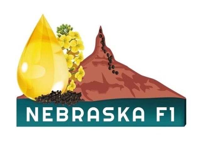 Rzepak ozimy Nebraska F1 C1 Integral Pro + Buteo Start Rapool