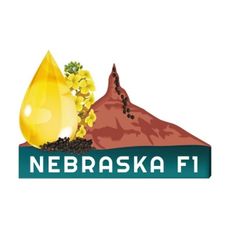 Rzepak ozimy Nebraska F1 C1 Integral Pro + Buteo Start Rapool