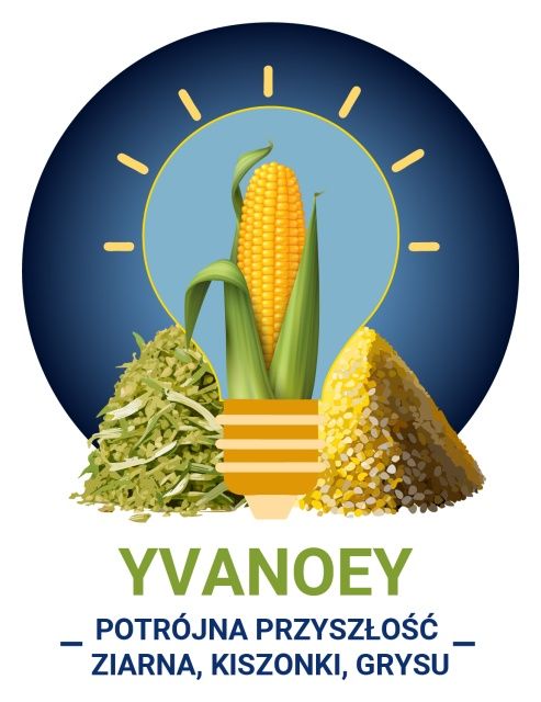 Kukurydza Yvanoey F1 C1 50 tyś Korit Limagrain