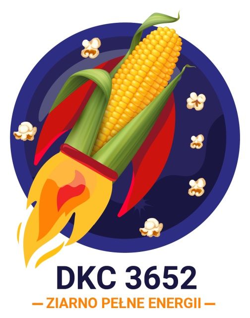 Kukurydza DKC 3652 F1 C1 50 tyś Force Bayer