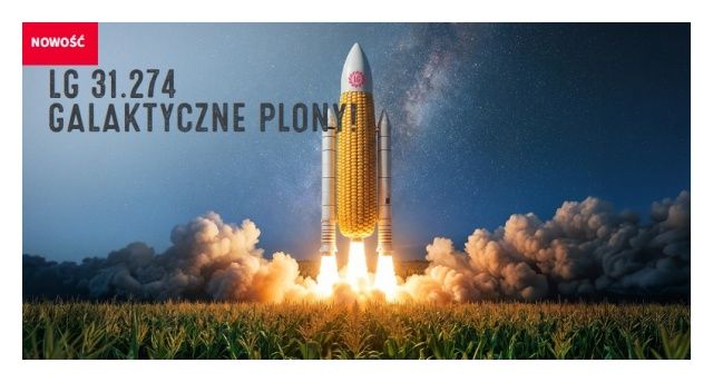 Kukurydza LG31.274 F1 C1 50tyś Korit Limagrain