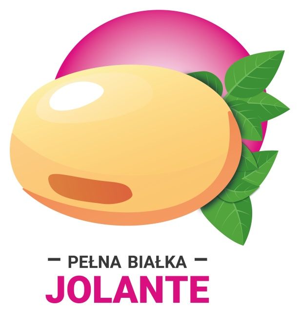 Soja Jolante PZO C1 150 tyś IGP