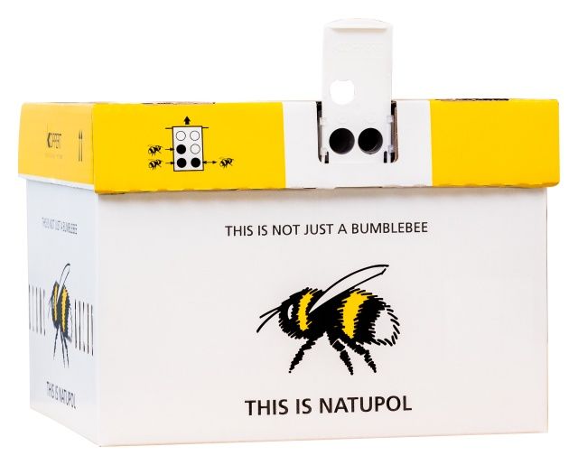 Natupol Standard Koppert