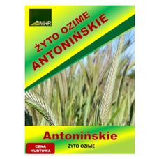 Żyto ozime Antonińskie C1 1,3mln nasion MHR