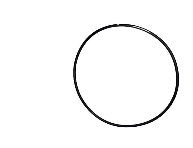  O-Ring New Holland 241104