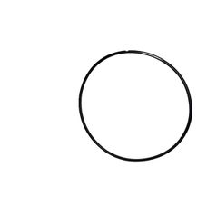 O-Ring New Holland 241104