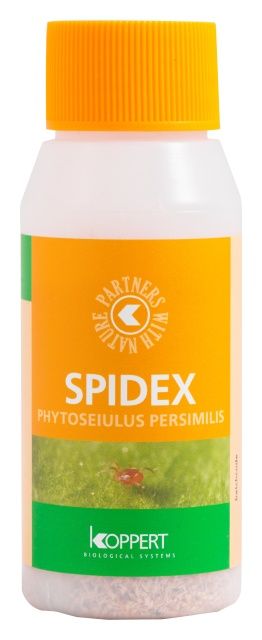 Spidex 2000 100 ml Koppert
