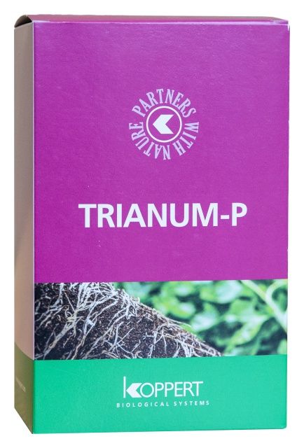 Tranium p-500 gr Koppert