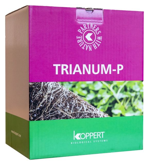 Tranium p-250 gr Koppert