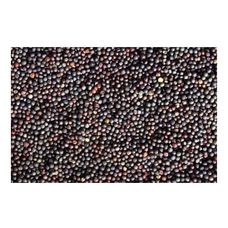Rzepak jary 25kg Flornas