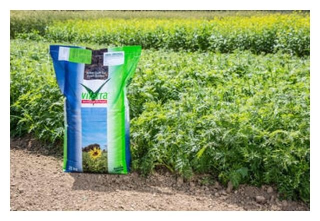 Mieszanka międzplonowa Viterra Universal 25kg Saaten Union