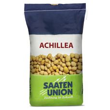 Soja Achillea C1 100 tyś Saaten Union