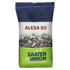Słonecznik Alexa SU 150 tyś C1 Saaten Union