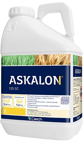 ASKALON 125SC 5L Ciech