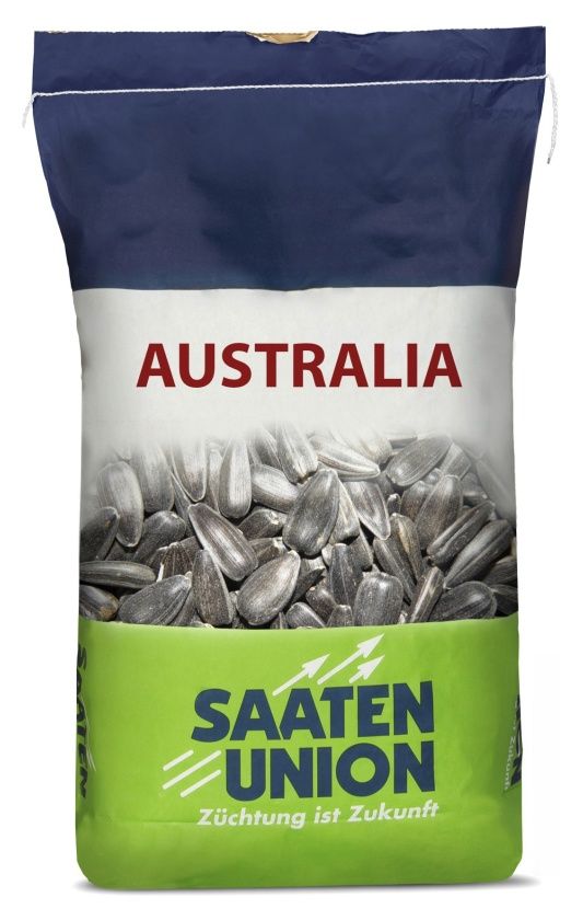 Słonecznik SU Australia 150 tyś C1 Saaten Union