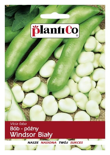 Bób WINDSOR BIAŁY 500g PlantiCO