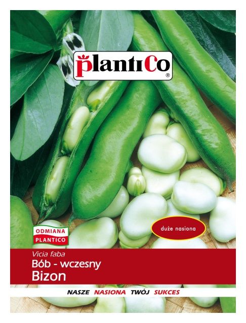Bób Bizon wczesny 1kg PlantiCo 