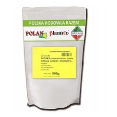 Dynia olbrzymia BAMBINO 500g PlantiCo