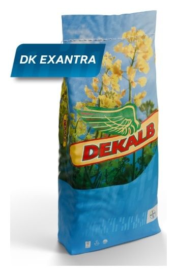 Rzepak ozimy DK Exantra F1 C1 Scenic Gold + Buteo Start + Zinc Boost Bayer