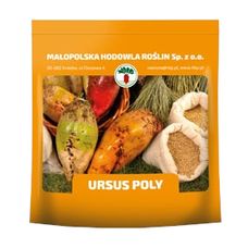 Burak pastewny URSUS POLY C1 1 kg żółty HBP