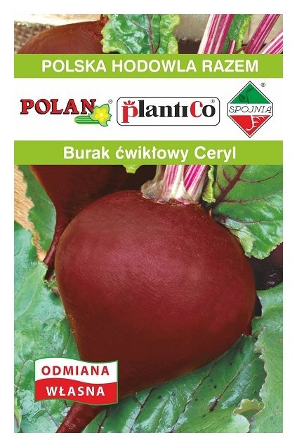 Burak ćwikłowy Ceryl Plantico1