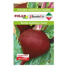 Burak ćwikłowy Ceryl Plantico1