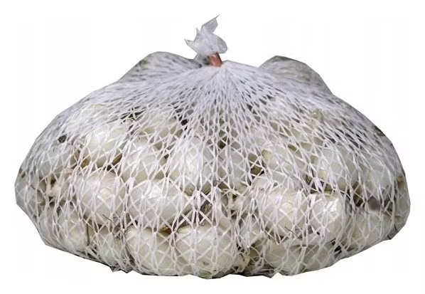 Cebula dymka zimowa Snowball GMF Group