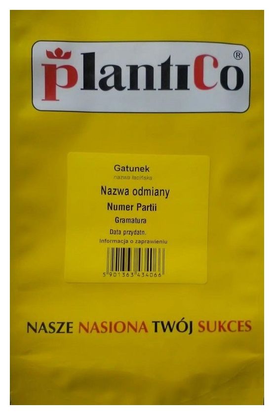 Cebula średnio późna Soplica 500g Plantico